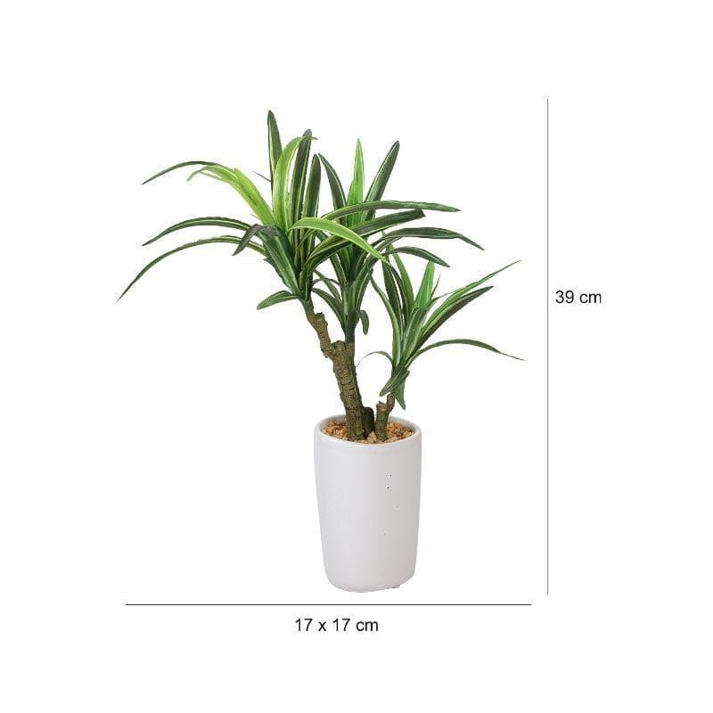 Artificial Plants - Faux Yucca Bonsai In Tube Pot - 38 cms