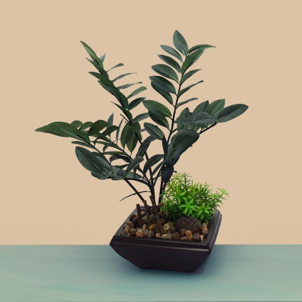 Artificial Plants - Faux Zamioculcas Bonsai In Ceramic Pot - 34 cms