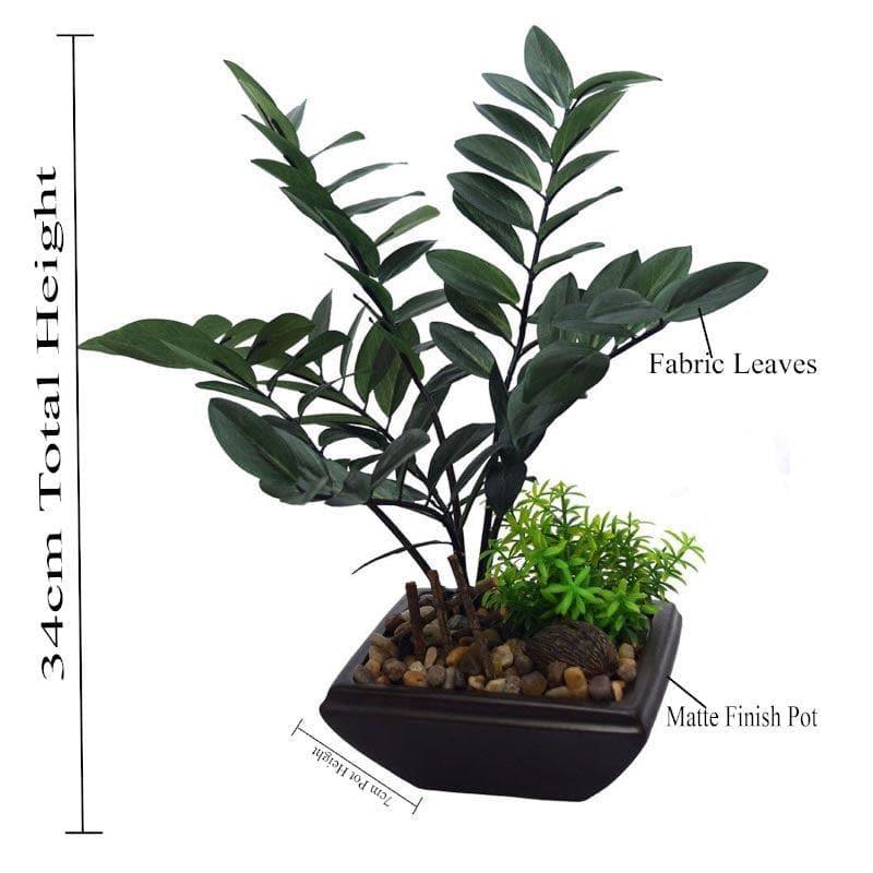 Artificial Plants - Faux Zamioculcas Bonsai In Ceramic Pot - 34 cms