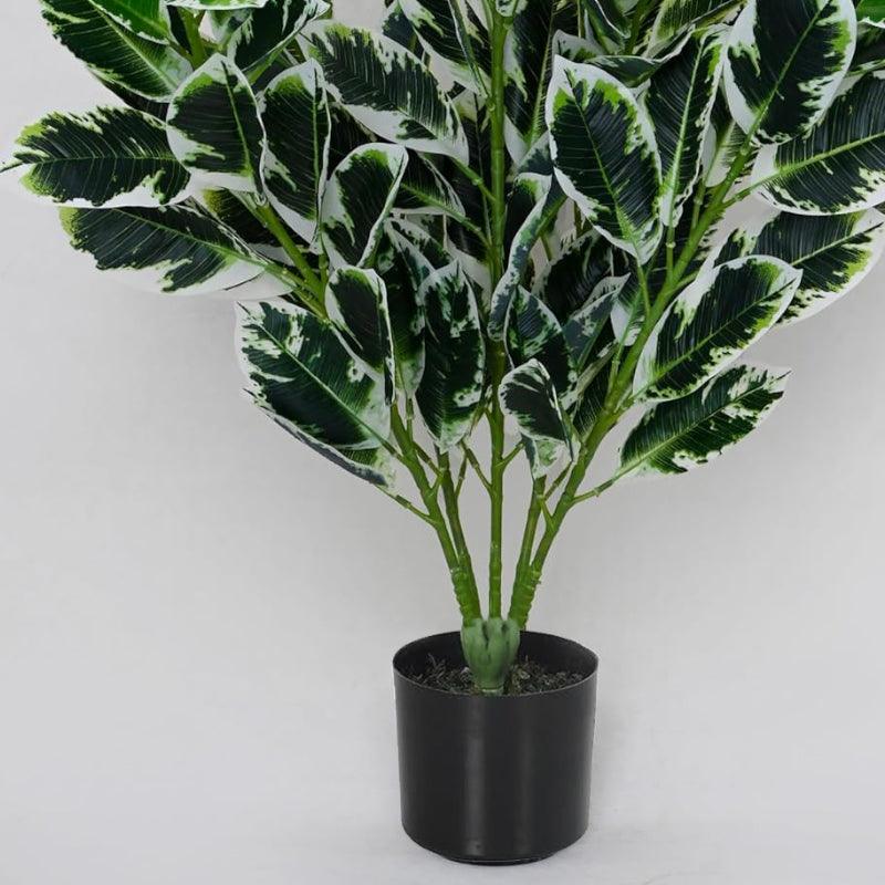 Buy Faux Zebra Plant With Pot - 2.79 ft Artificial Plants from Vaaree