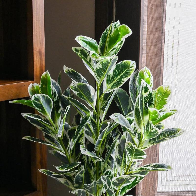 Buy Faux Zebra Plant With Pot - 2.79 ft Artificial Plants from Vaaree