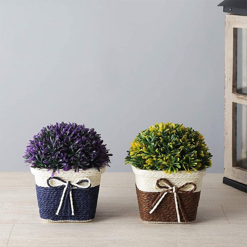 Artificial Plants - (Blue & Brown) Fora Faux Plant In Basket Pot (16 cms) - Set Of Two