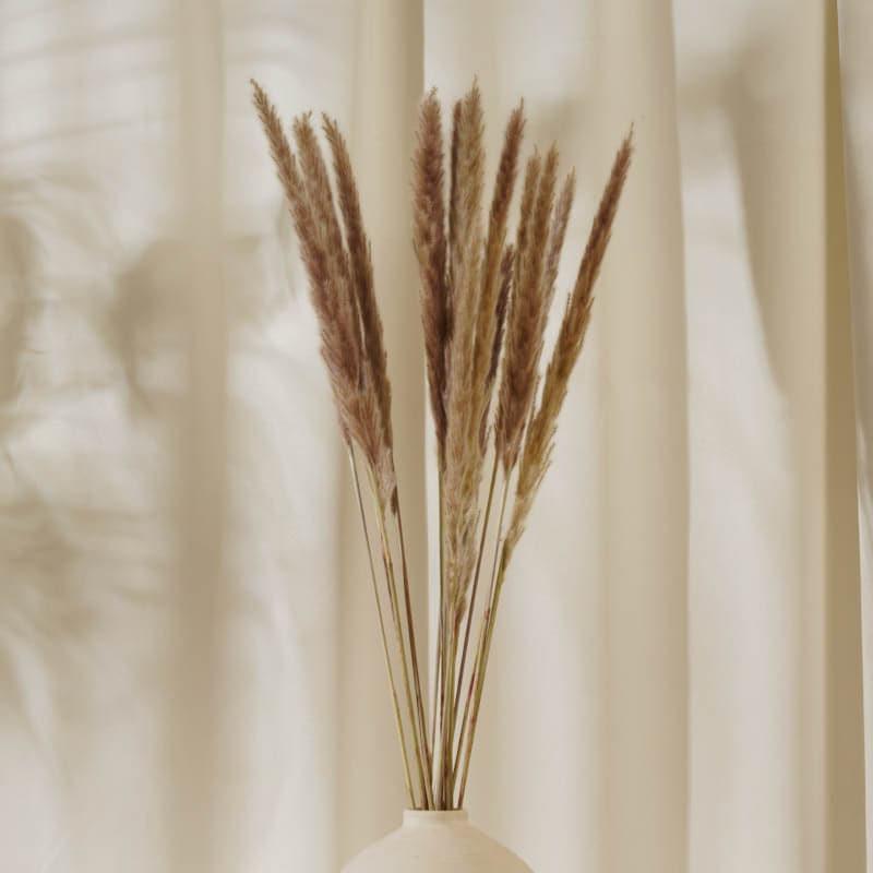 Buy Foxtail Pampas Stems (2.62 ft) - Natural Artificial Flowers from Vaaree