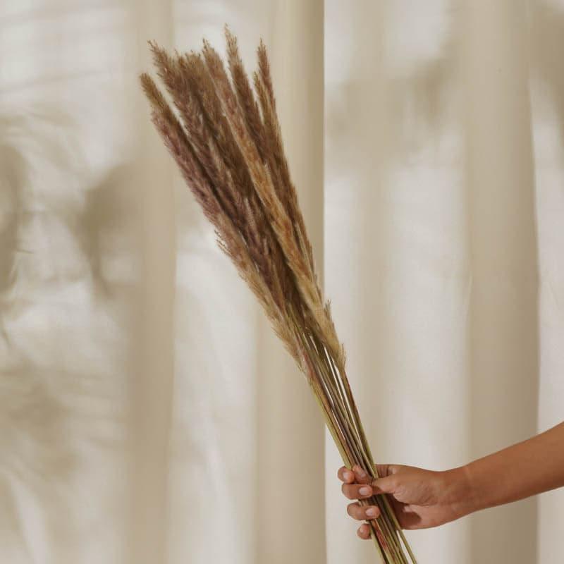 Buy Foxtail Pampas Stems (2.62 ft) - Natural Artificial Flowers from Vaaree