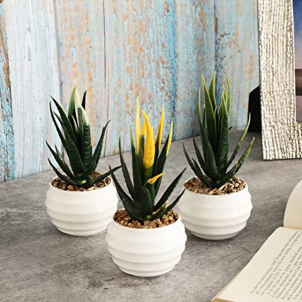 Artificial Plants - Leda Faux Plant In Borga Pot (13 cms) - Set Of Three