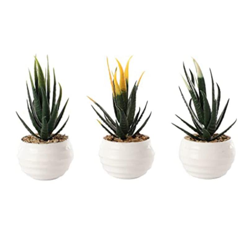 Artificial Plants - Leda Faux Plant In Borga Pot (13 cms) - Set Of Three