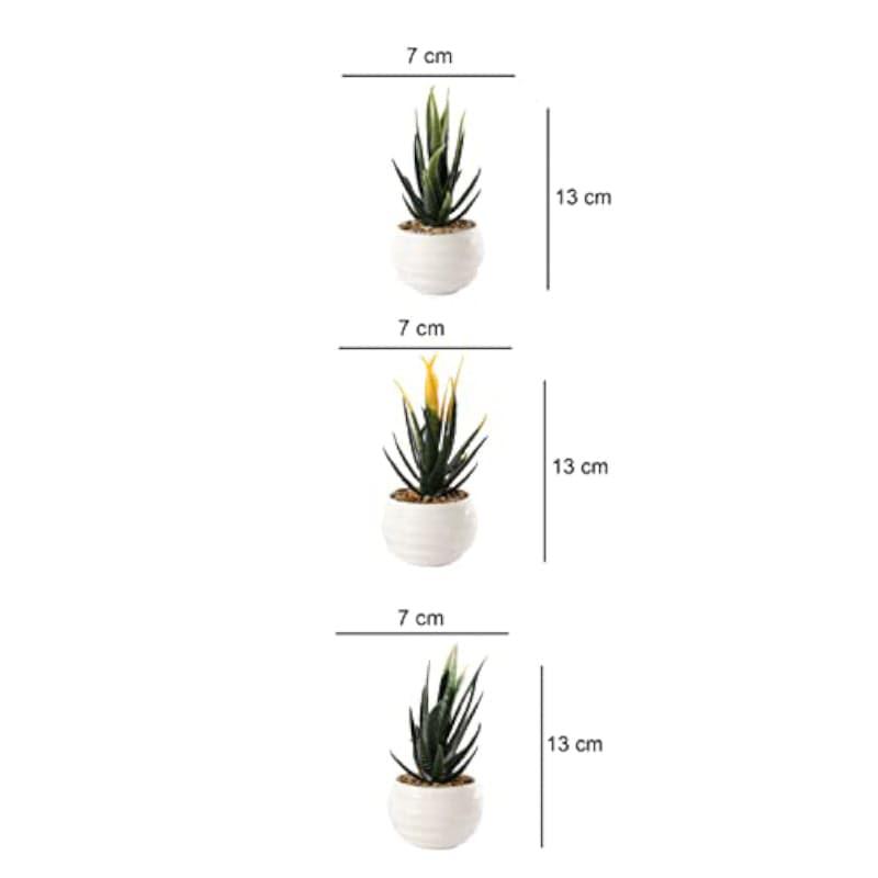 Artificial Plants - Leda Faux Plant In Borga Pot (13 cms) - Set Of Three