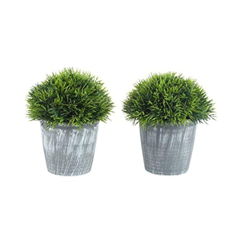 Artificial Plants - Leva Faux Plant In Garcia Pot (17 cms) - Set Of Two