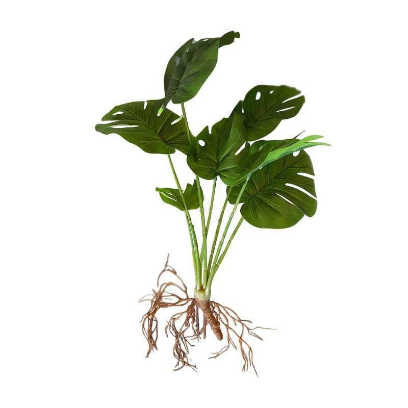 Buy Monzi Artificial Money Plant - 43.18 cms Artificial Plants from Vaaree