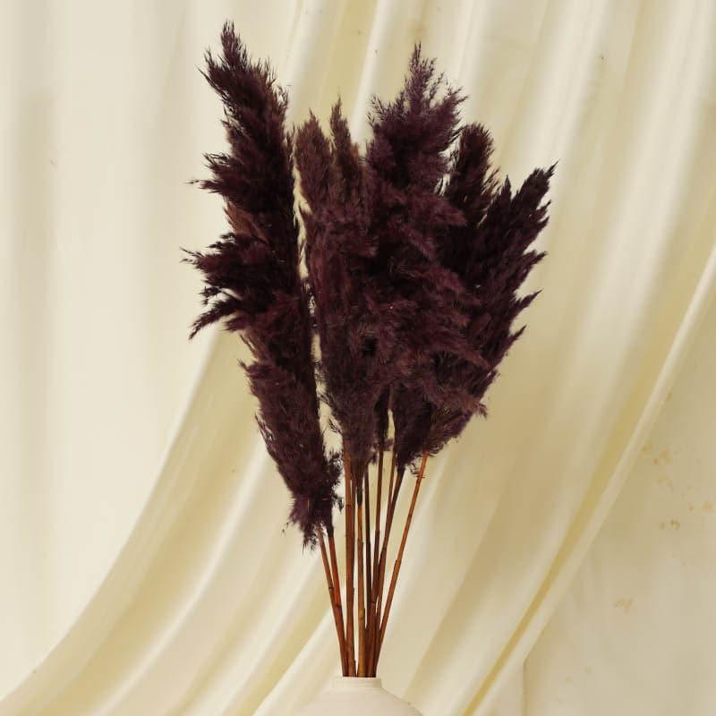 Buy Puffy Pampas Stems (2.62 ft) - Brown Artificial Flowers from Vaaree