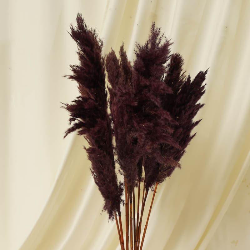 Buy Puffy Pampas Stems (2.62 ft) - Brown Artificial Flowers from Vaaree