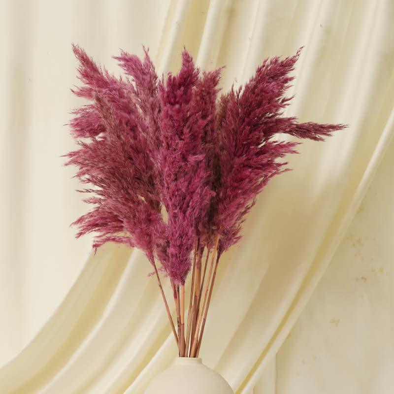 Buy Puffy Pampas Stems (2.62 ft) - Pink Artificial Flowers from Vaaree