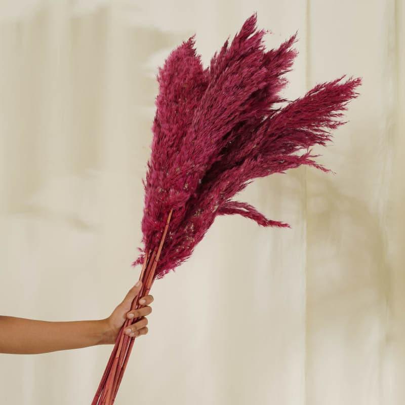 Buy Puffy Pampas Stems (2.62 ft) - Pink Artificial Flowers from Vaaree