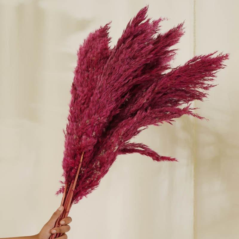 Buy Puffy Pampas Stems (2.62 ft) - Pink Artificial Flowers from Vaaree