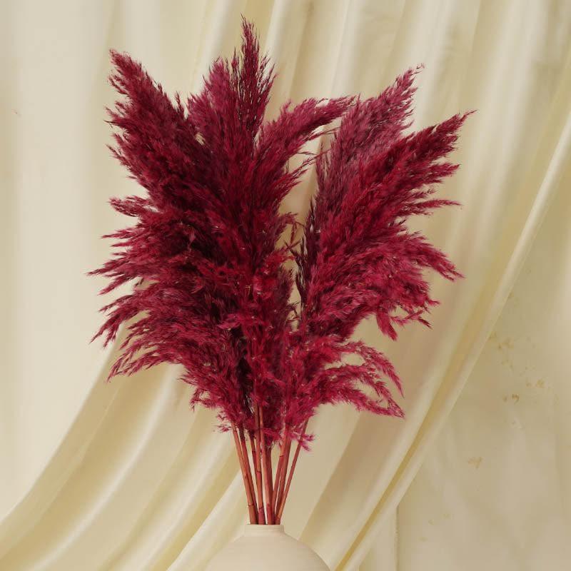 Artificial Plants - Puffy Pampas Stems (2.62 ft) - Red