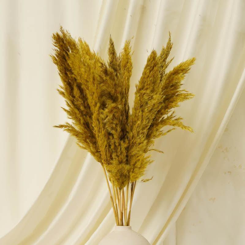 Artificial Plants - Puffy Pampas Stems (2.62 ft) - Yellow