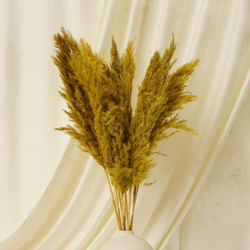 Buy Puffy Pampas Stems (2.62 ft) - Yellow Artificial Flowers from Vaaree