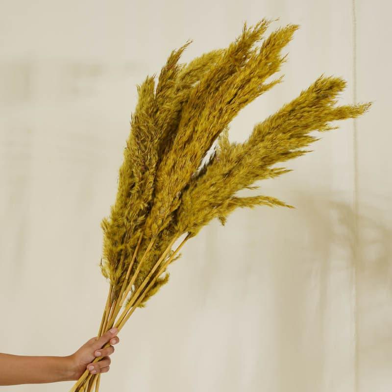 Buy Puffy Pampas Stems (2.62 ft) - Yellow Artificial Flowers from Vaaree