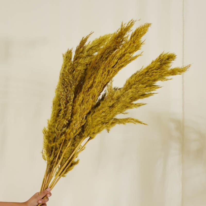 Buy Puffy Pampas Stems (2.62 ft) - Yellow Artificial Flowers from Vaaree