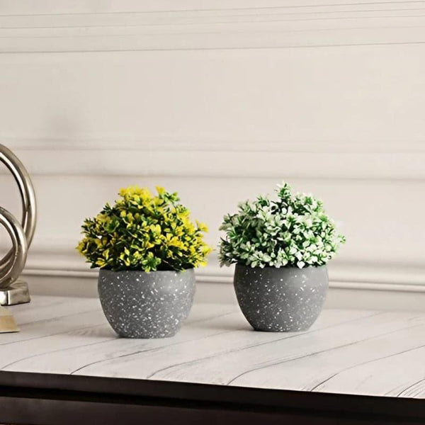 Buy Rufo Faux Plant In Endor Pot (14 cms) - Set Of Two Artificial Plants from Vaaree