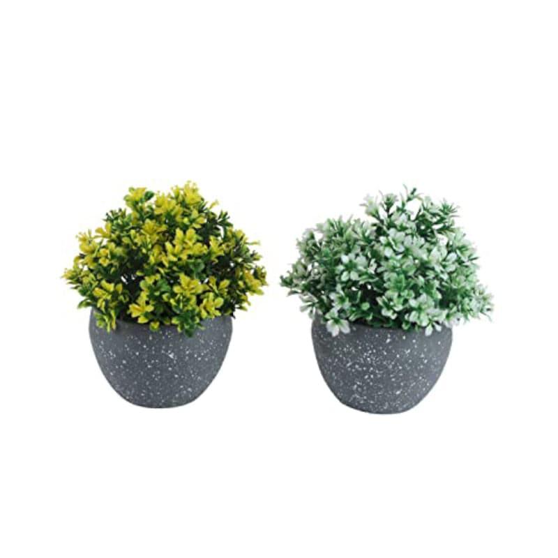 Buy Rufo Faux Plant In Endor Pot (14 cms) - Set Of Two Artificial Plants from Vaaree