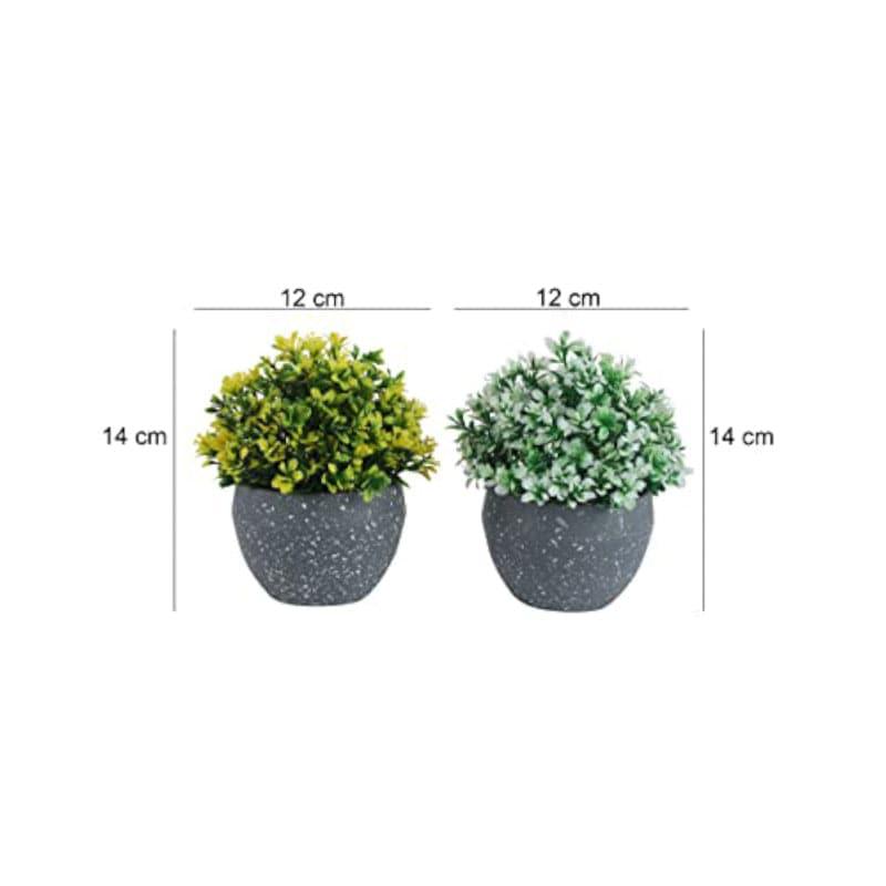 Buy Rufo Faux Plant In Endor Pot (14 cms) - Set Of Two Artificial Plants from Vaaree