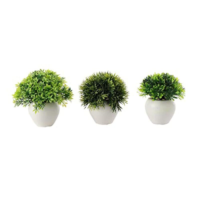 Artificial Plants - Selo Faux Plant In Apple Pot (8 cms) - Set Of Three