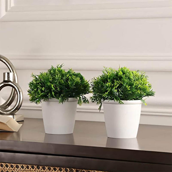 Artificial Plants - Signa Faux Plant In Maroe Pot (16 cms) - Set Of Two