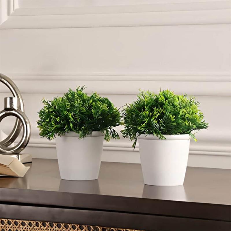 Buy Signa Faux Plant In Maroe Pot (16 cms) - Set Of Two Artificial Plants from Vaaree