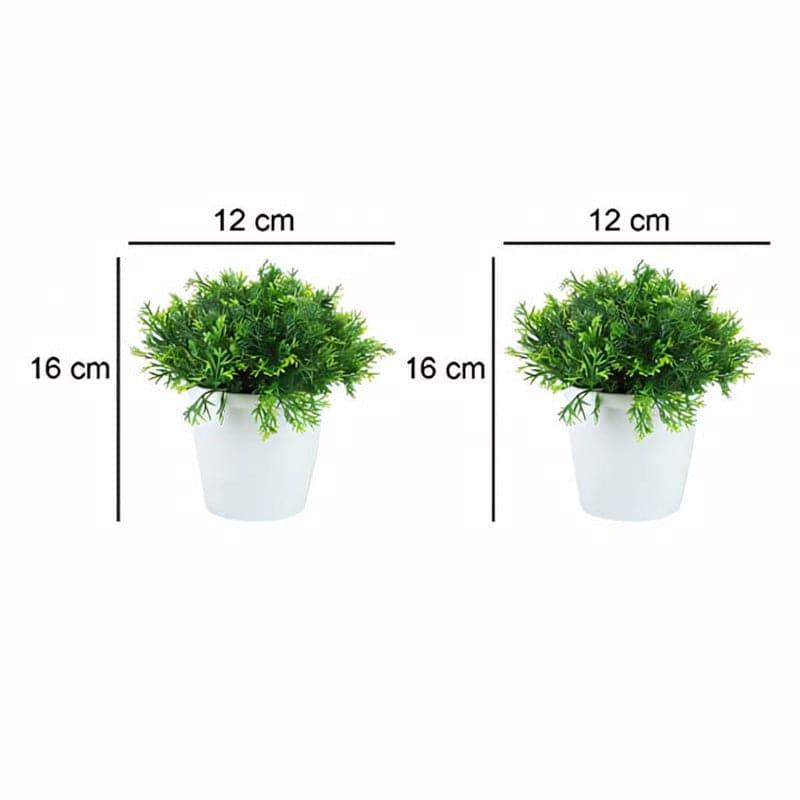 Artificial Plants - Signa Faux Plant In Maroe Pot (16 cms) - Set Of Two