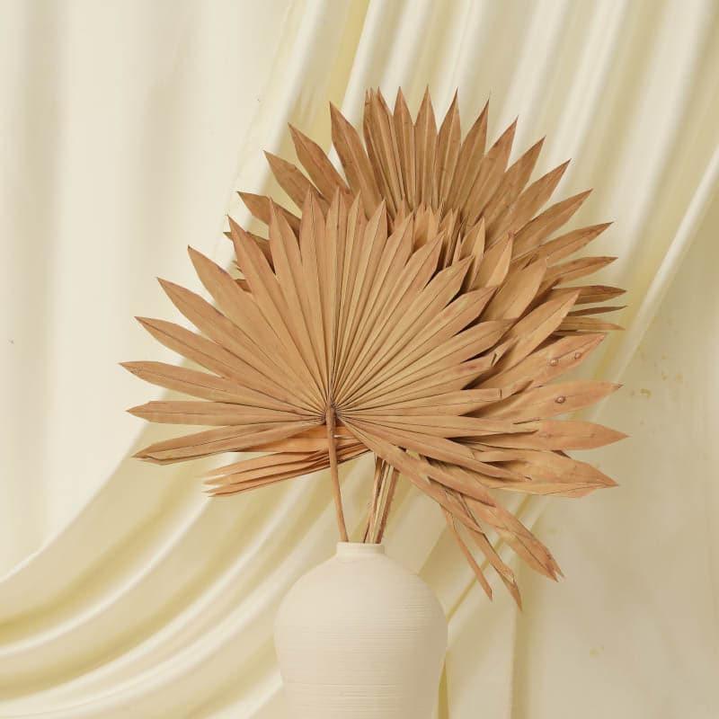 Buy (Brown) Sun Palm Spear (20 cms) - Set Of Five Stems Artificial Flowers from Vaaree