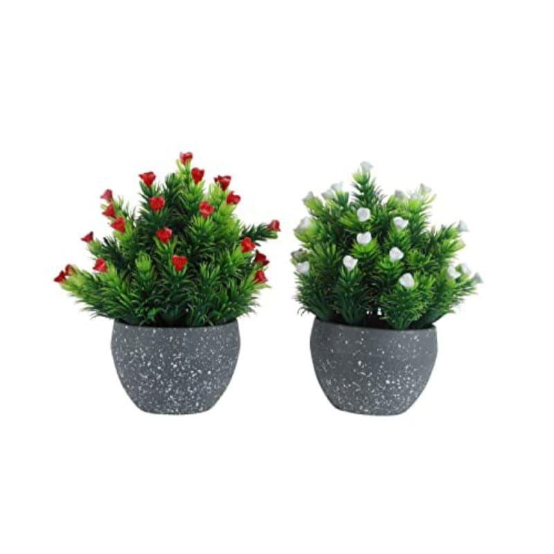 Artificial Plants - Tinda Faux Plant In Endor Pot (19 cms) - Set Of Two