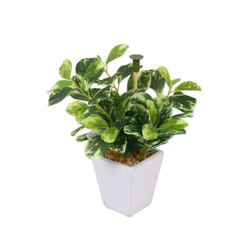 Buy Wandering Jew Faux Bonsai (20 cms) - Dark Green Artificial Plants from Vaaree