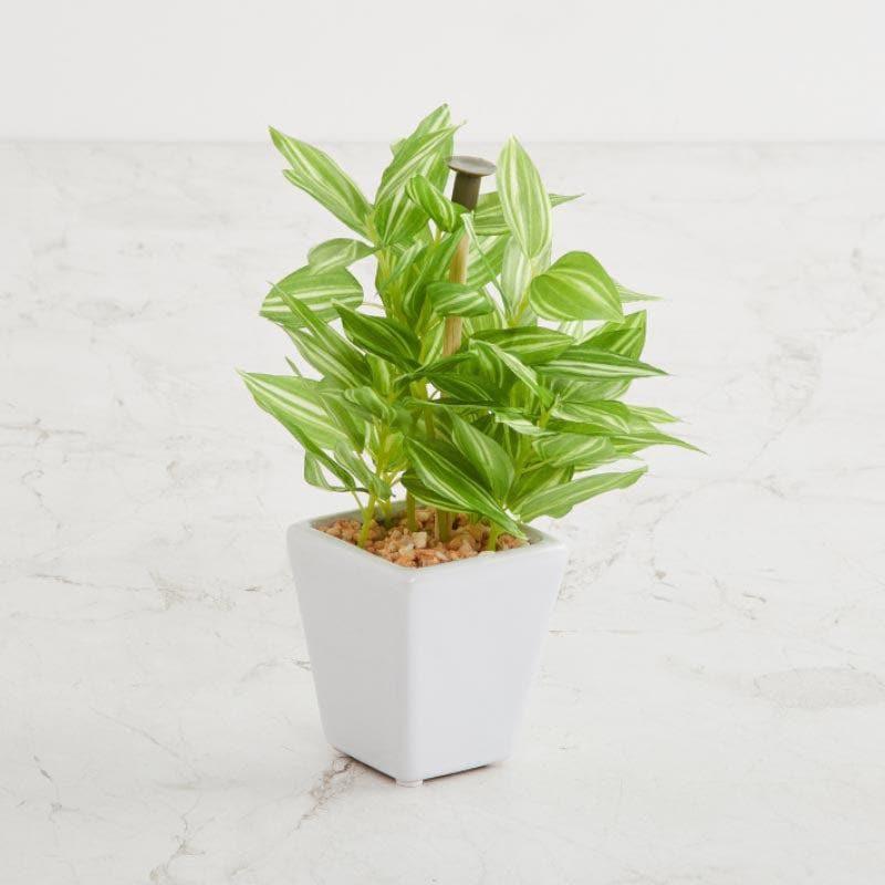 Buy Wandering Jew Faux Bonsai (20 cms) - Green Artificial Plants from Vaaree