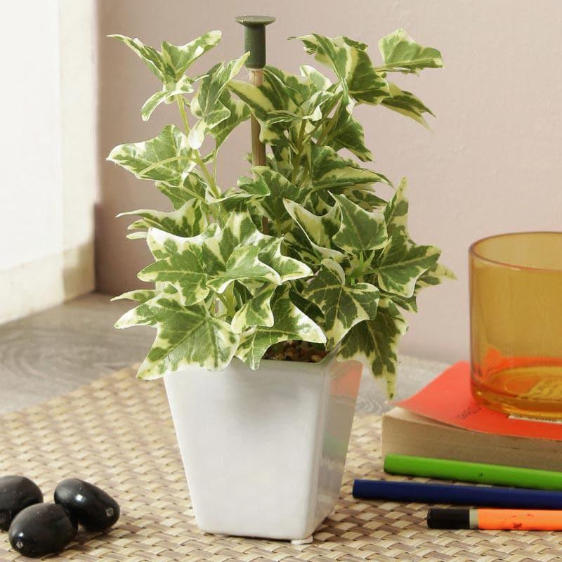 Buy Wandering Jew Faux Bonsai (20 cms) - Light Green Artificial Plants from Vaaree