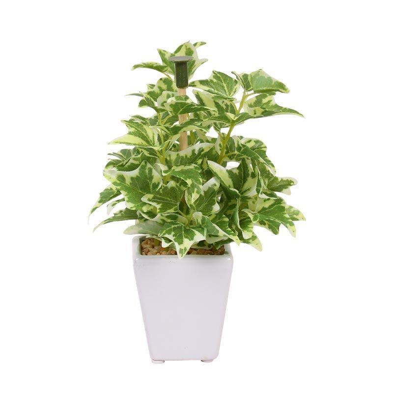 Buy Wandering Jew Faux Bonsai (20 cms) - Light Green Artificial Plants from Vaaree