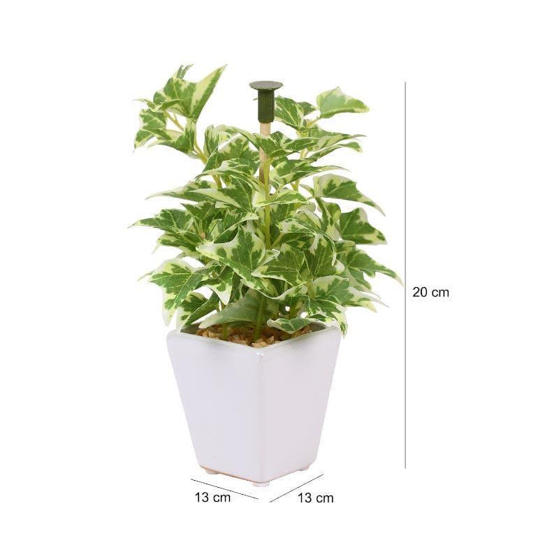 Buy Wandering Jew Faux Bonsai (20 cms) - Light Green Artificial Plants from Vaaree