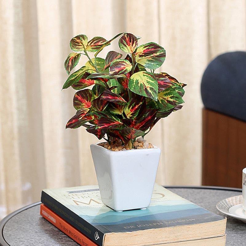 Buy Wandering Jew Faux Bonsai (20 cms) - Red Artificial Plants from Vaaree