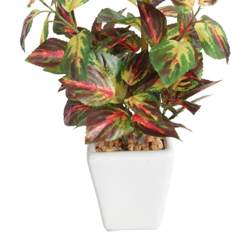 Buy Wandering Jew Faux Bonsai (20 cms) - Red Artificial Plants from Vaaree