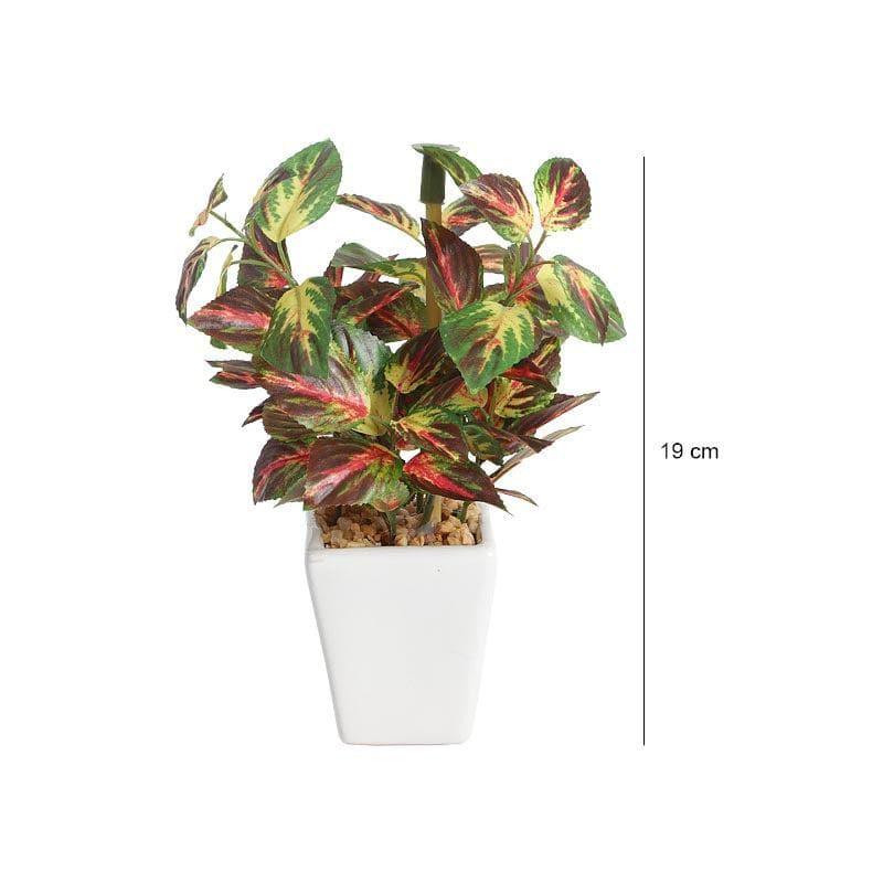 Buy Wandering Jew Faux Bonsai (20 cms) - Red Artificial Plants from Vaaree