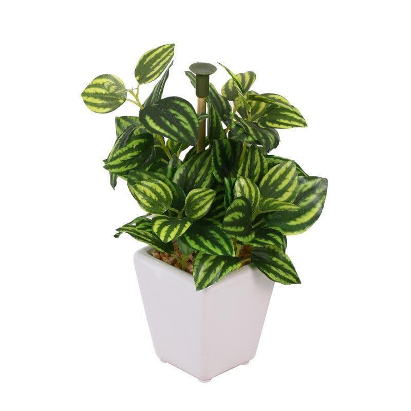 Artificial Plants - Wandering Jew Faux Bonsai (20 cms) - Striped Green