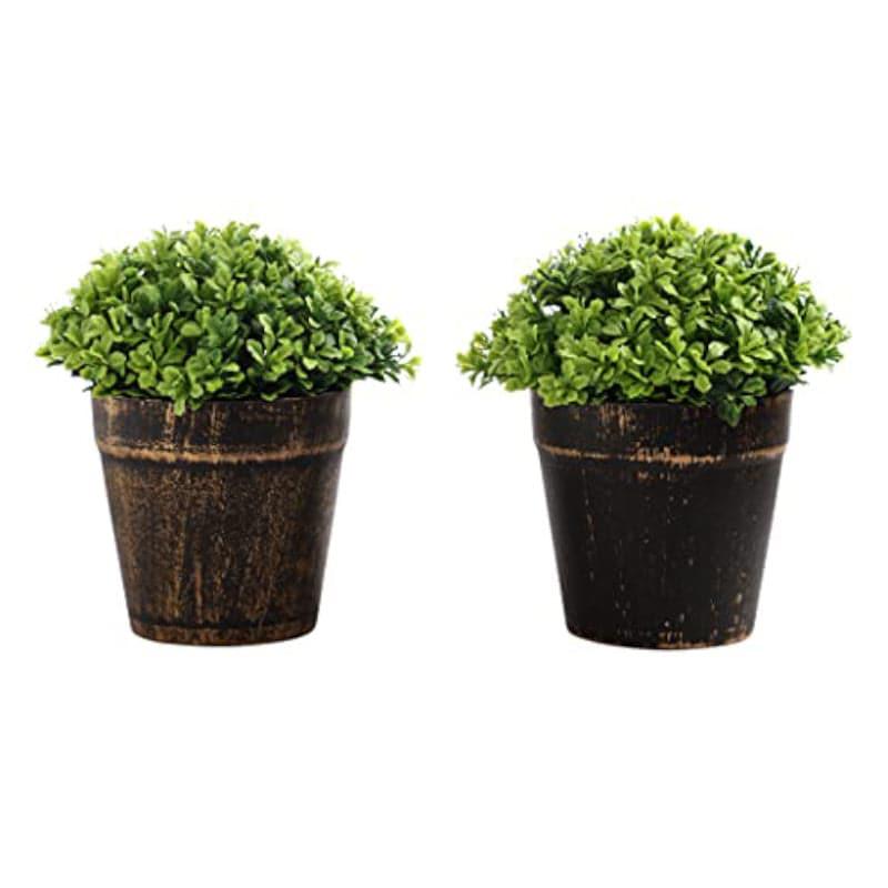 Artificial Plants - Zabini Faux Plant In Wilma Pot - 20 cms