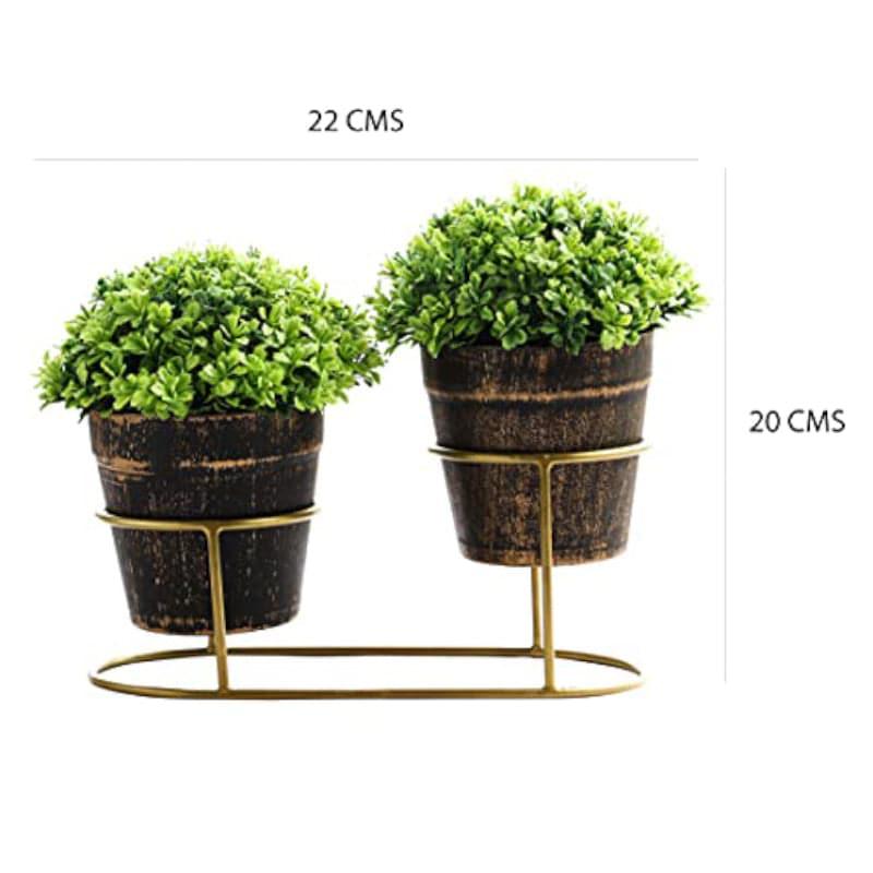 Artificial Plants - Zabini Faux Plant In Wilma Pot - 20 cms