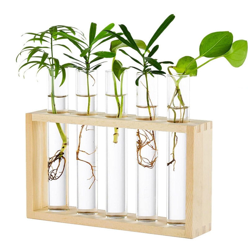 Buy Ana Test Tube Planter - Set Of Four Pots & Planters from Vaaree