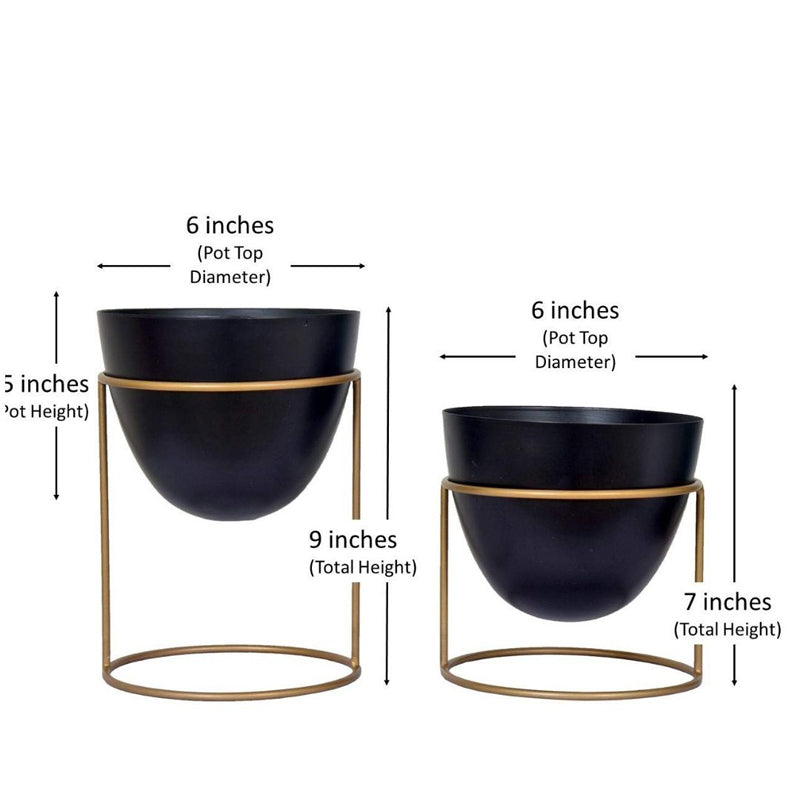 Buy Bellos Planter (Black) - Set Of Two Pots & Planters from Vaaree