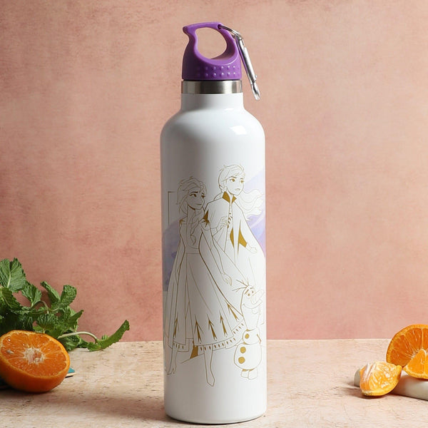 Buy Frozen Magna Insulated Bottle - 1000 ML Bottle from Vaaree