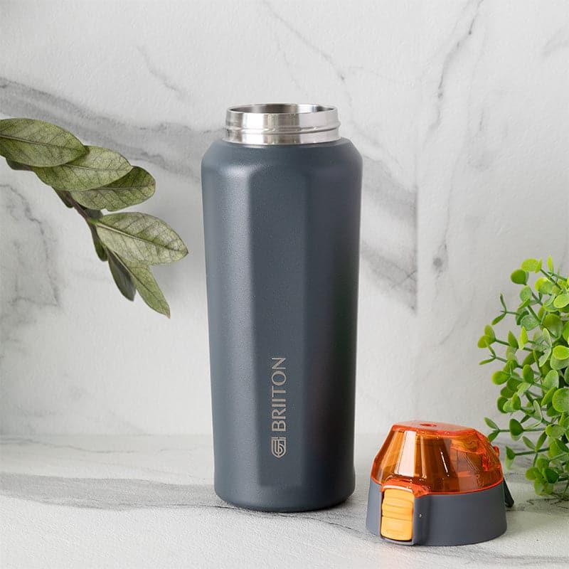 Buy Hydra Hue Bottle (Grey) - 650 ML Bottle from Vaaree