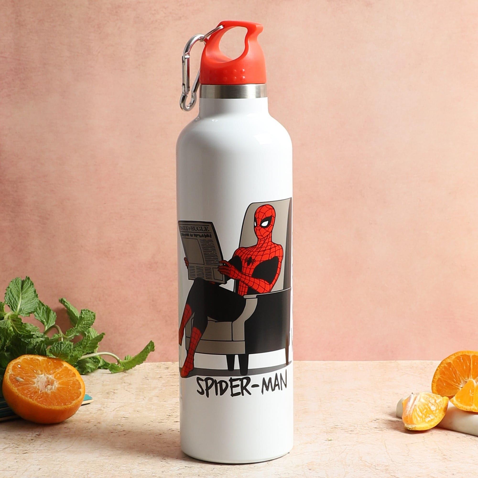 Buy Spidey Relax Insulated Water Bottle - 1000 ML Bottle from Vaaree