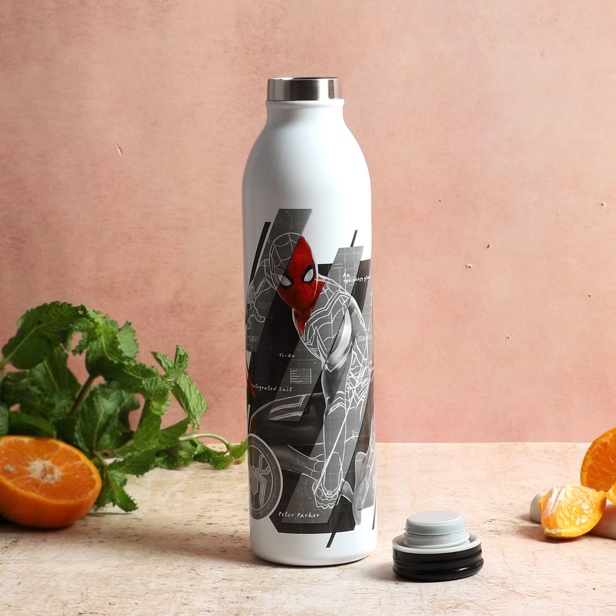 Buy Web Spidey Insulated Water Bottle - 650 ML Bottle from Vaaree