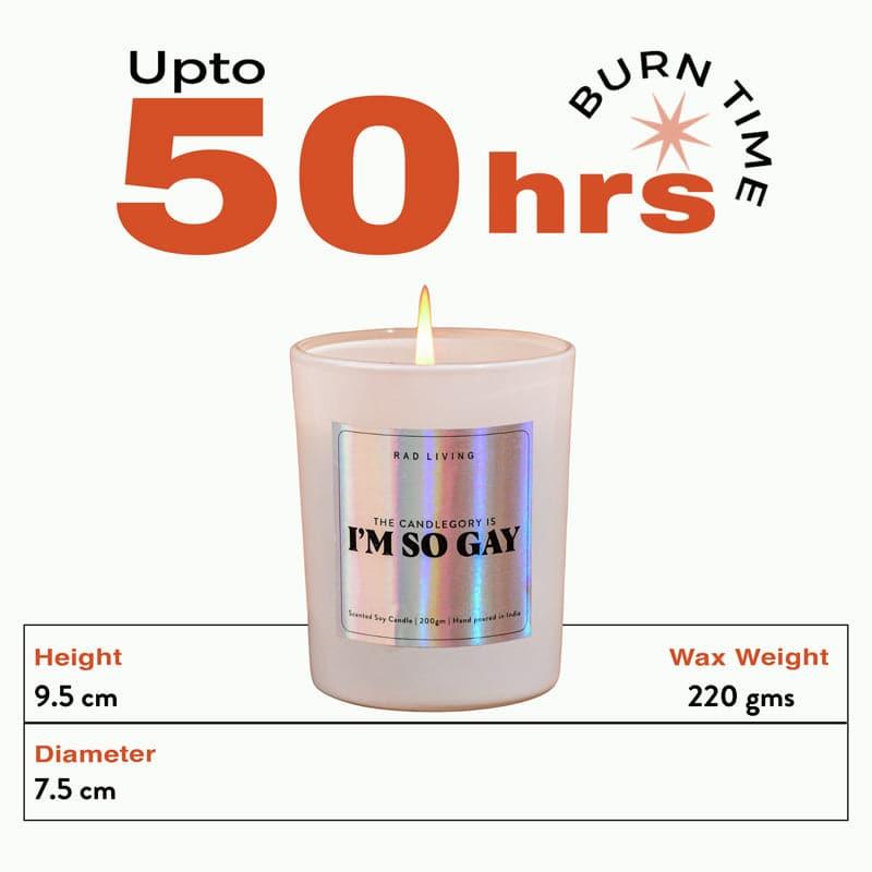 Buy Happy & Gay Candle Candles from Vaaree